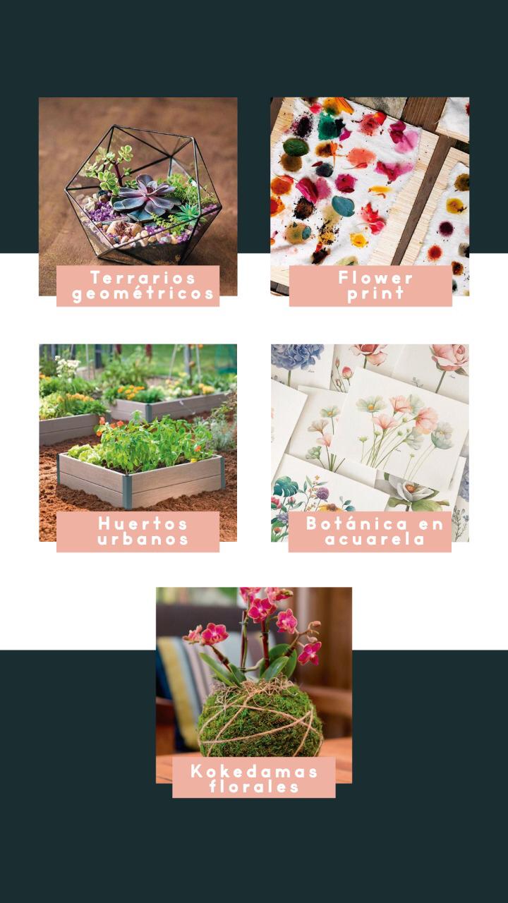 plantas