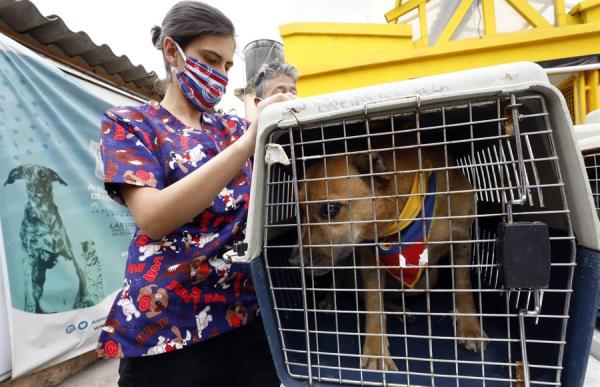 Una veterinaria se despide de un perro que será adoptado. (EFE)