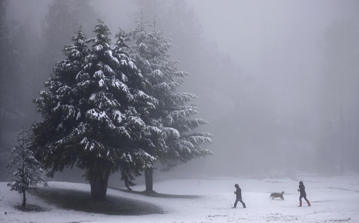 nieve